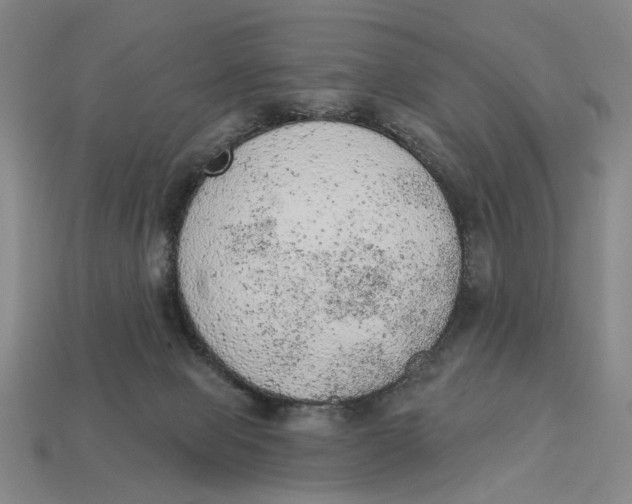 X0000112780077200909101621