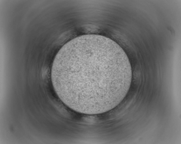 X0000112780079200909101621