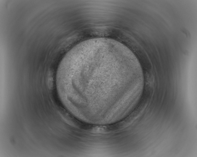 X0000112780080200909101621