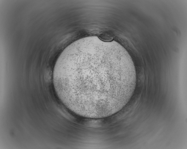 X0000112780081200909101621