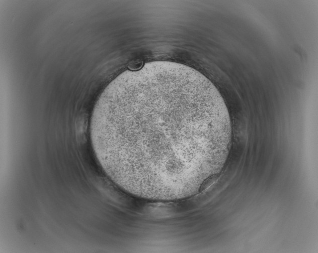 X0000112780082200909101621