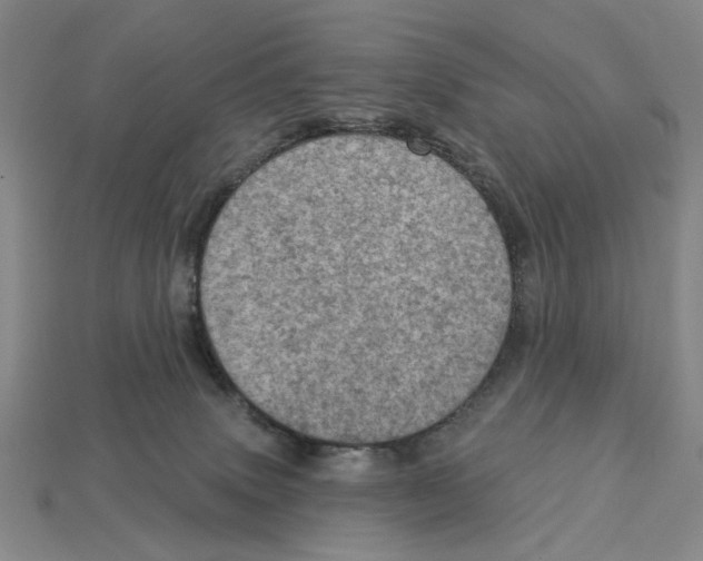 X0000112780083200909101621