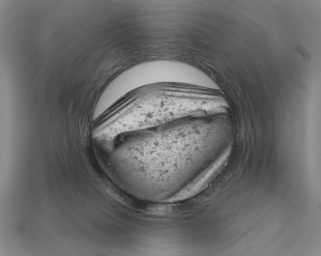 X0000112780084200909101621