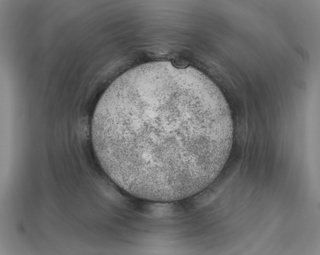 X0000112780085200909101621