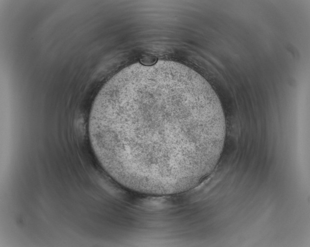 X0000112780086200909101621