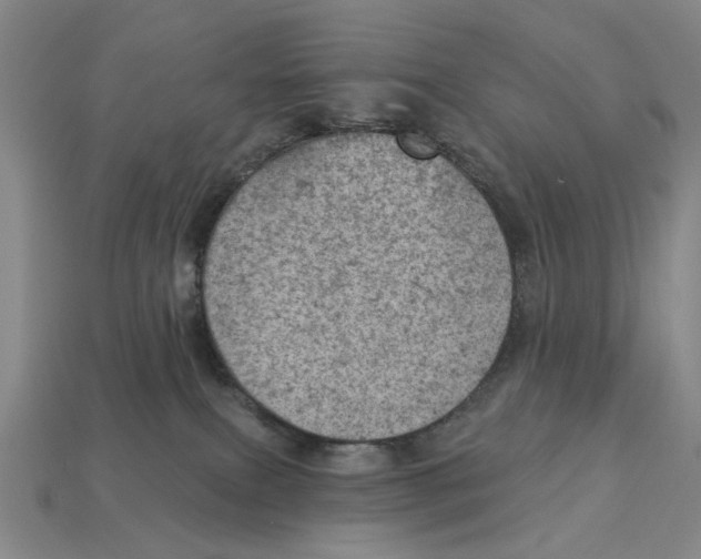 X0000112780087200909101621