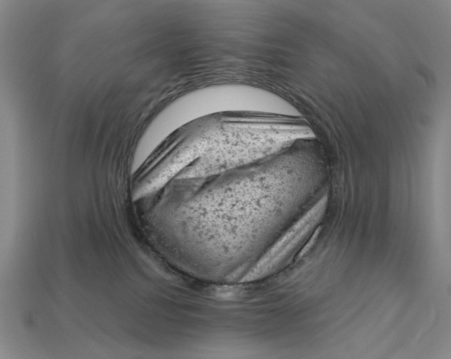 X0000112780088200909101621