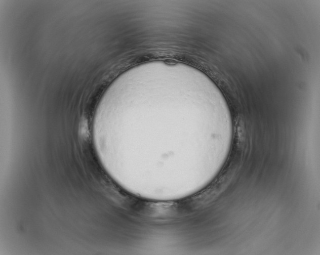 X0000112780089200909101621