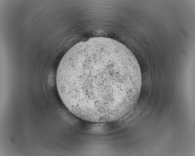 X0000112780090200909101621