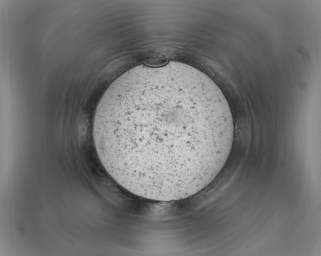 X0000112780092200909101621