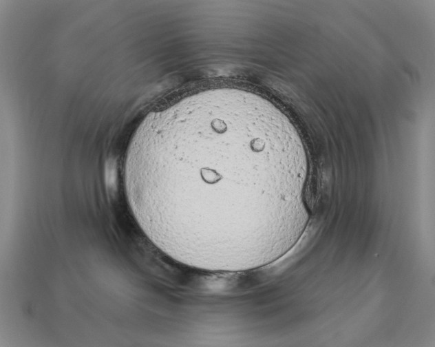 X0000112780094200909101621