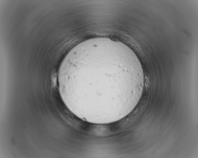 X0000112780095200909101621