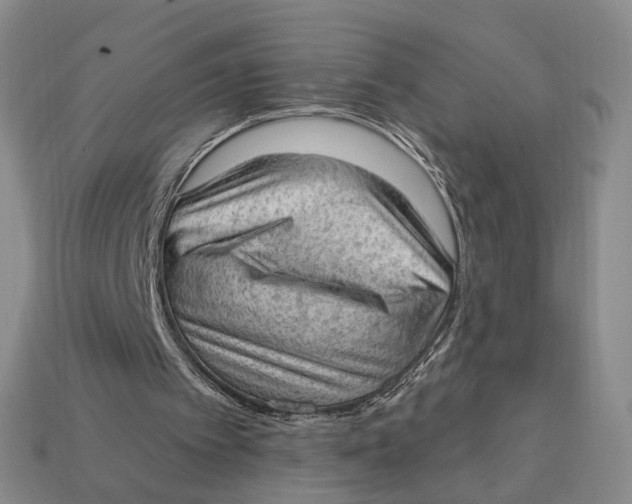 X0000112780097200909101620