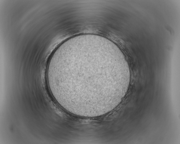 X0000112780098200909101620