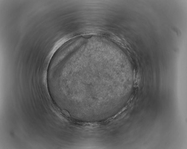 X0000112780099200909101620