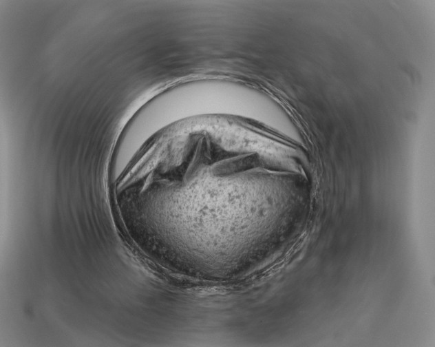 X0000112780100200909101620