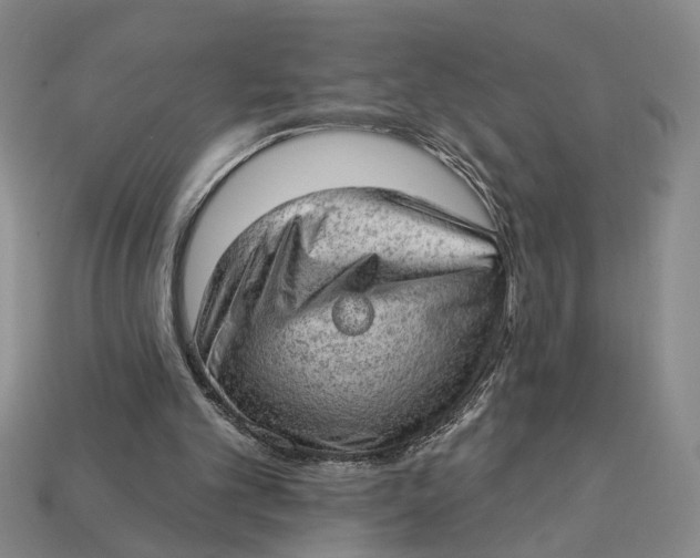 X0000112780101200909101620