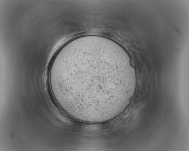 X0000112780102200909101620