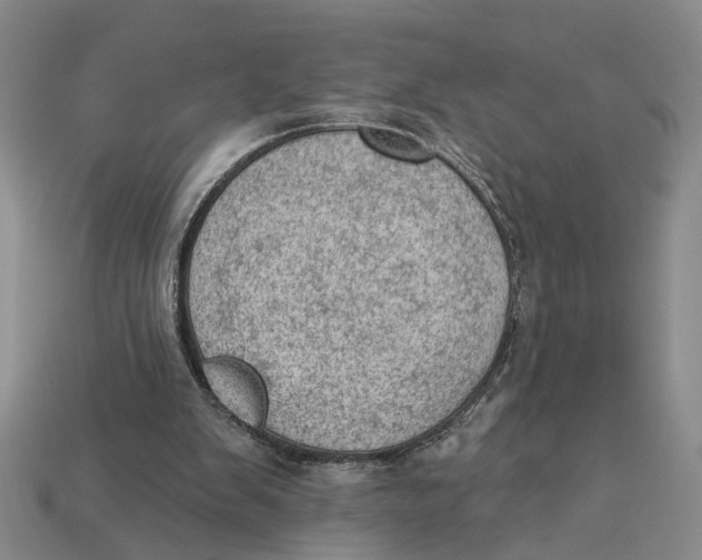 X0000112780103200909101620