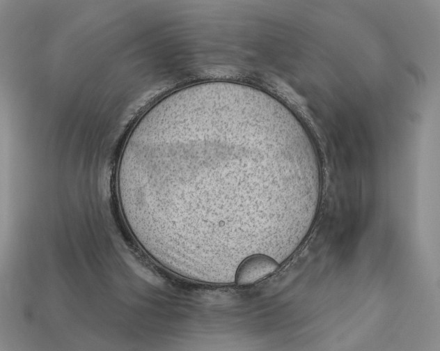 X0000112780106200909101620