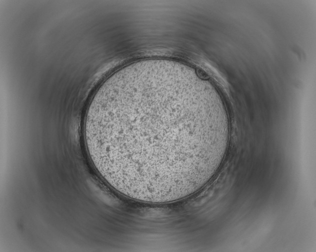 X0000112780107200909101620