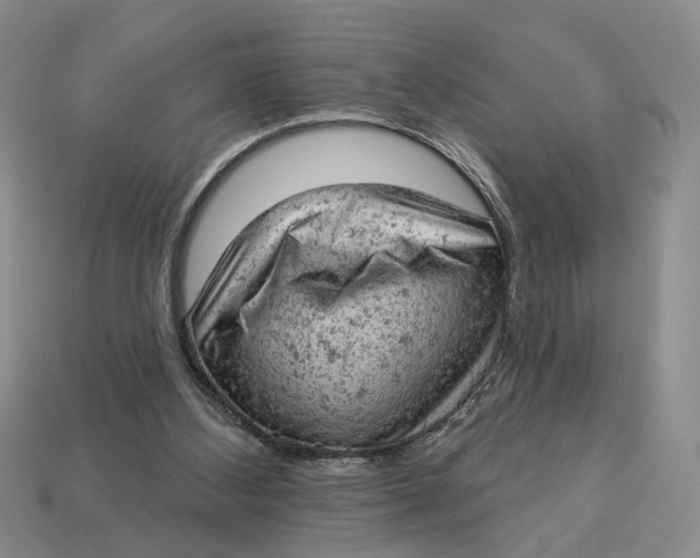 X0000112780108200909101620