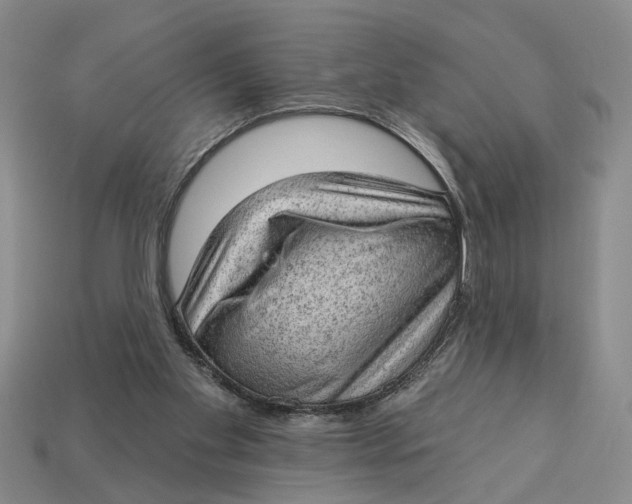 X0000112780109200909101620