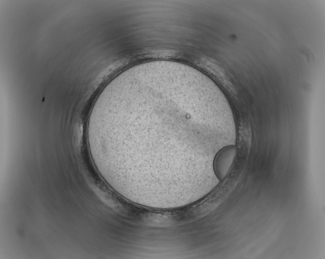 X0000112780110200909101620