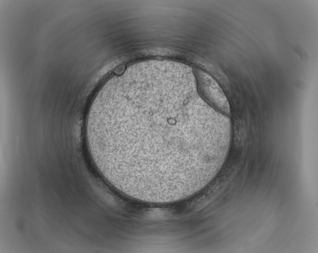 X0000112780111200909101620