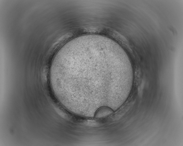 X0000112780114200909101620