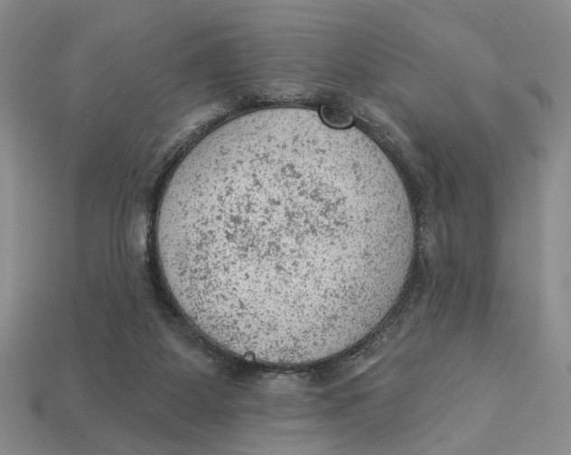 X0000112780115200909101620