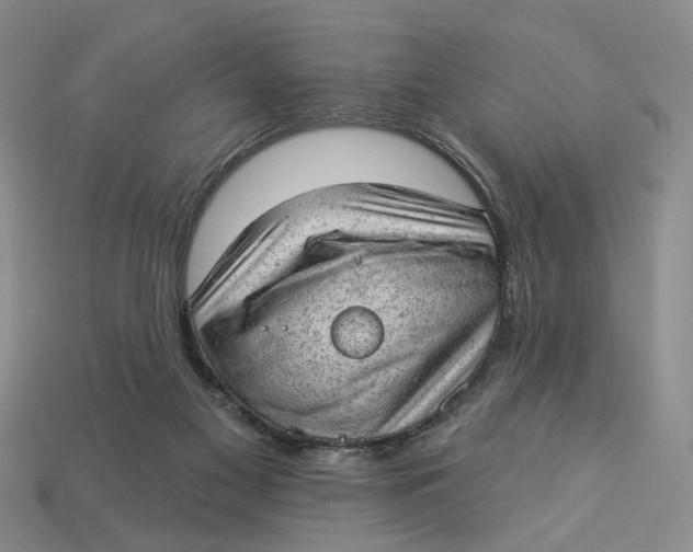 X0000112780117200909101620