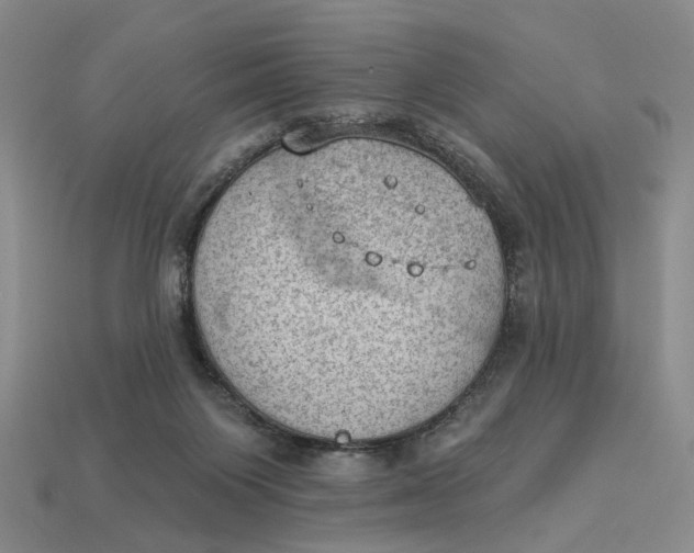 X0000112780119200909101620