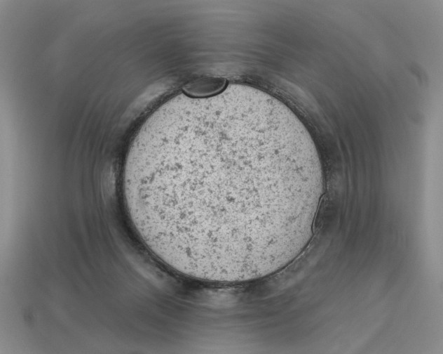 X0000112780120200909101620