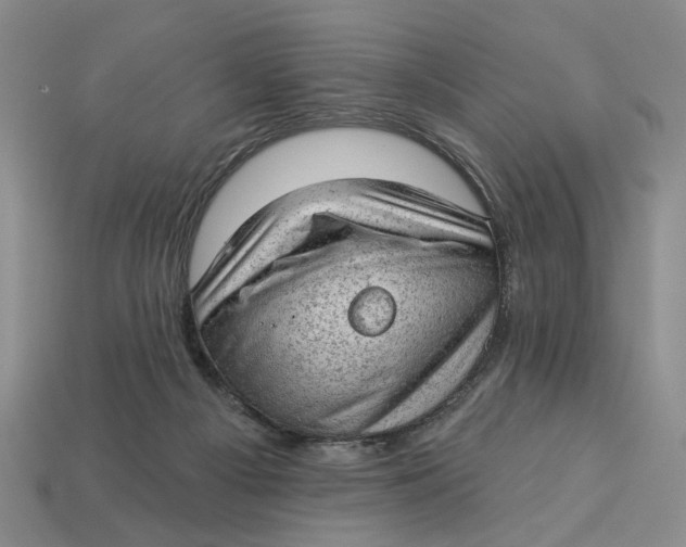 X0000112780121200909101620