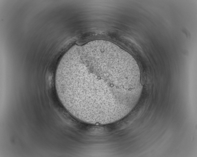 X0000112780123200909101620