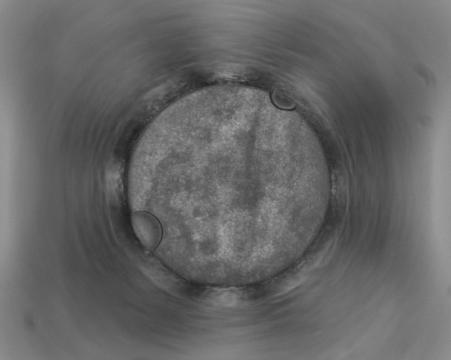 X0000112780127200909101620