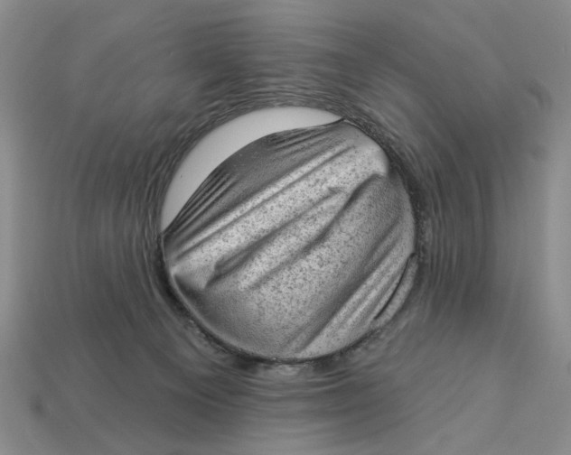 X0000112780129200909101620