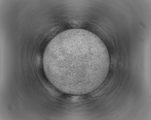 X0000112780130200909101620