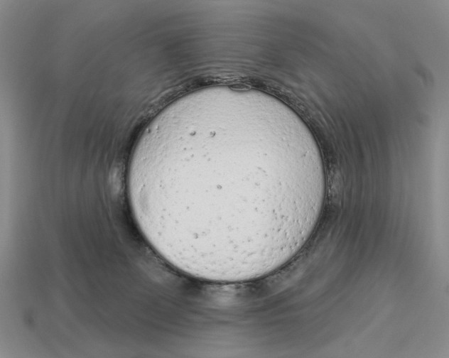 X0000112780131200909101620