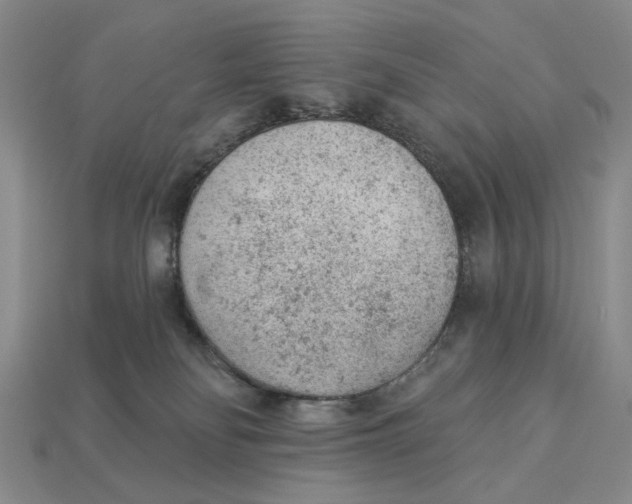 X0000112780134200909101620