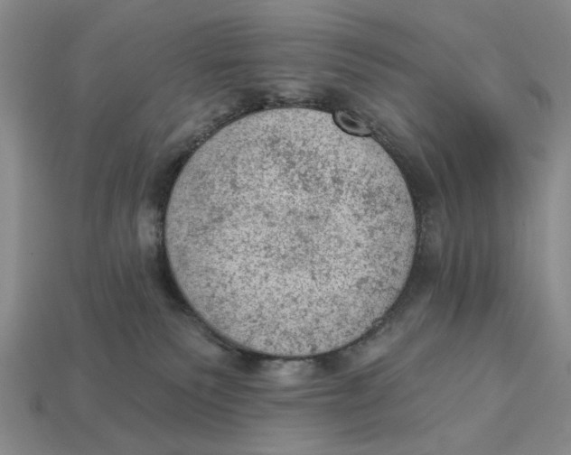 X0000112780135200909101620