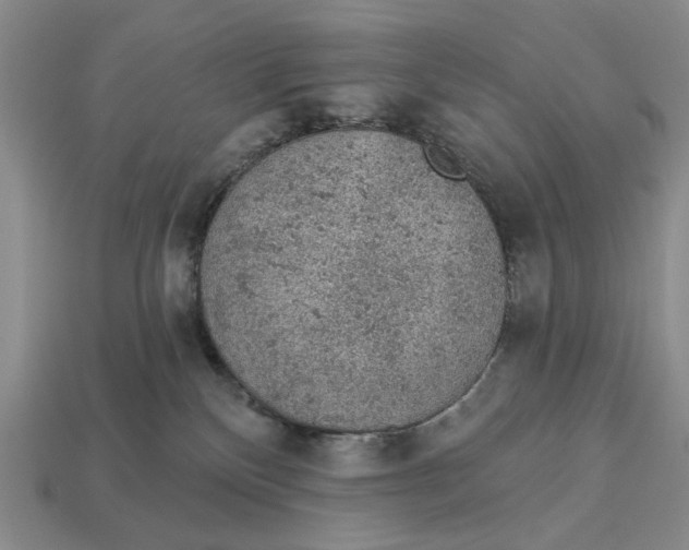 X0000112780136200909101620