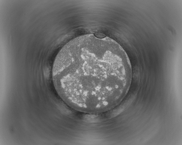 X0000112780139200909101620