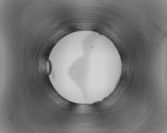 X0000112780141200909101620