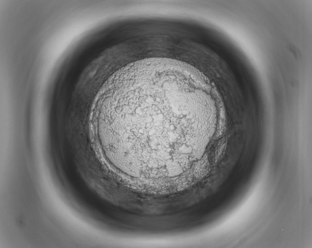 X0000112780143200909101620