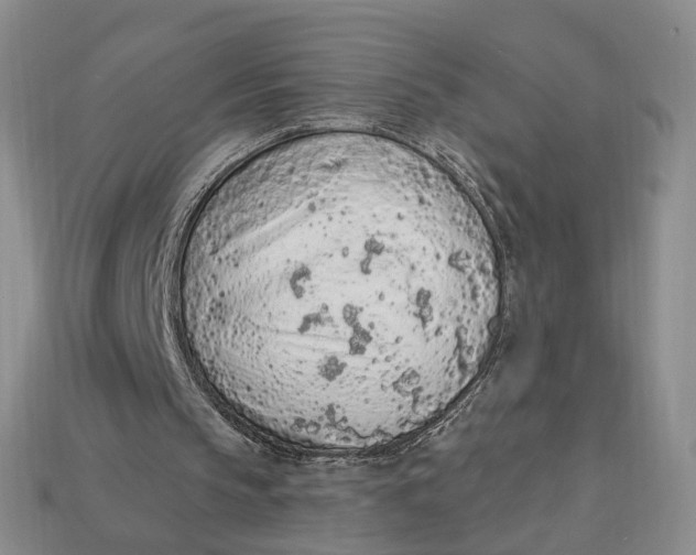 X0000112780145200909101619