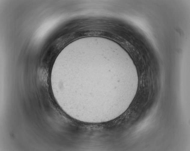 X0000112780146200909101619