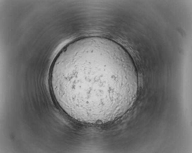 X0000112780147200909101619