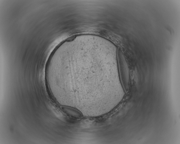 X0000112780148200909101619